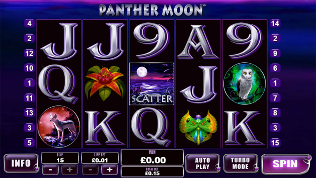Panther Moon 1